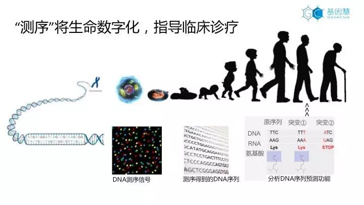 eicZhoGYCfybBkpH6f2nkBEHMcNGibArmmAZVITaGVIlHbwxgNPEmArq7m2ScqG2HYpSJiahtrWPTP3XIJowEXm3A