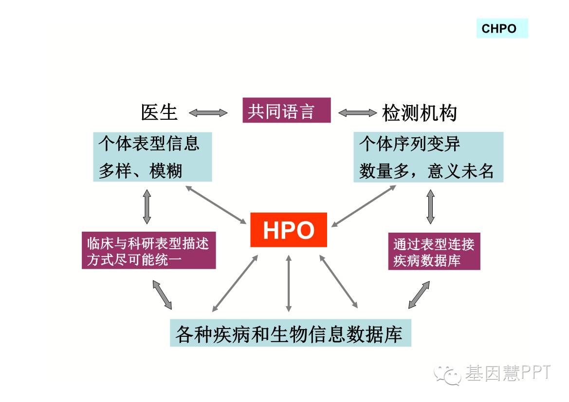 eicZhoGYCfybeta5TzFPCicoEwlY26Oeia4hSRWsCOzh0ibqaZvRq03OfflNKVSsibz3McALWSnVtZnxhoRA71YJRgQ