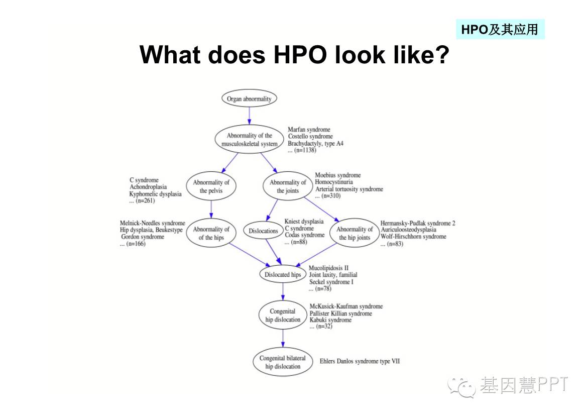 eicZhoGYCfybeta5TzFPCicoEwlY26Oeia4icUNgiaDt3F86JHRibuoV5IewHyVzD8I9WAIGy16ht8pLDHsFCVobhKzQ