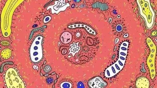 eicZhoGYCfybkcoUpsFqxuOomAib8123L2ImIUAov2Ltwt4430Uq5zT5944z9wf7njNVbTm0rBWhPttaiabmw8l0g