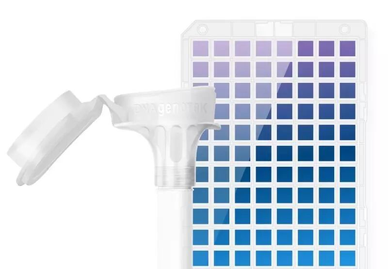 eicZhoGYCfybwfNs6wYZXxcSx4VspmgNylyWdrqATCGAlPwE4pYgdFUpc1hb3oSicVo6Aiagh9yt8ibOSPHr0iaXWCg