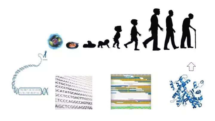 eicZhoGYCfybzLMnNr7cgvibh6Tc2ST7S1MTjtA1gLmibFga1fZkPo2pntHRWH2FHSN83Qj1sTQBeMnX1LllgdDjQ