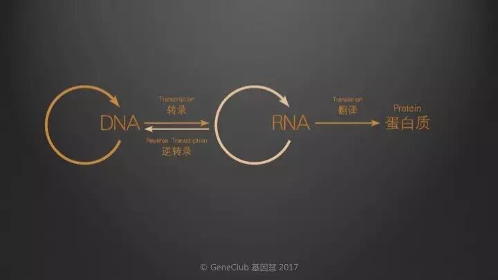 eicZhoGYCfybzLMnNr7cgvibh6Tc2ST7S1NjXKLZXd2tokROyJm57zaCGcpTY1IBT1V6AbDhcic09kOISib9YKc68A