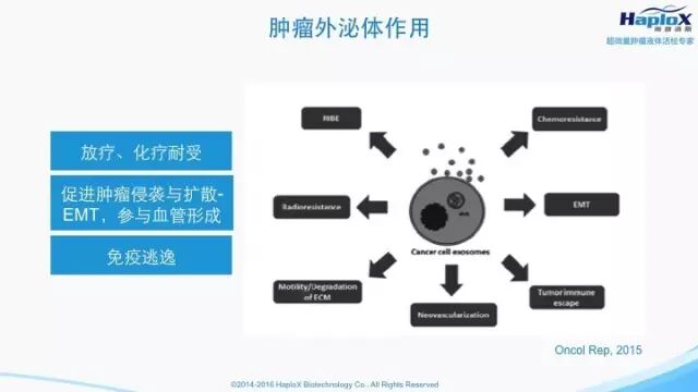 iaJU94oZ03r7aT7sOYryjGCHNyRI5l6KYVPByiadDjiajouUMlo8yyVKxGNYMjtCcQwRVWV0aNqkN5MDp2qarmmOg